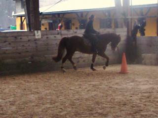 http://www.cedesmillieres.fr/sites/default/files/imagecache/preset3/DSC01692%20-%20Copie.JPG